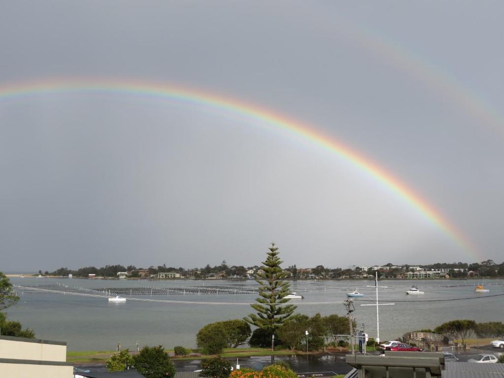 Penguin Mews Lejlighedshotel Merimbula Værelse billede